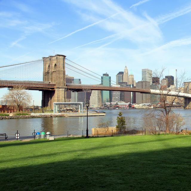 The lost and future wildlife of New York City's East River - podcast episode cover