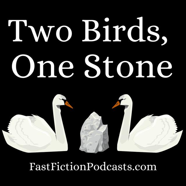 Two Birds, One Stone - podcast episode cover