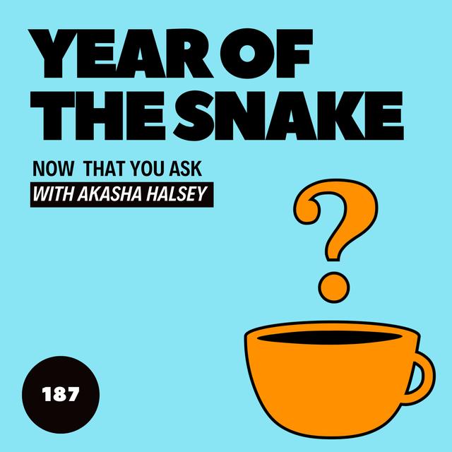 187. Year of the Snake - podcast episode cover