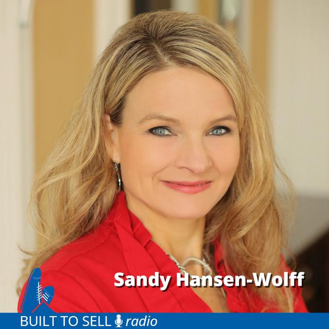 Ep 324 Sandy Hansen-Wolff - The Unexpected Exit - podcast episode cover