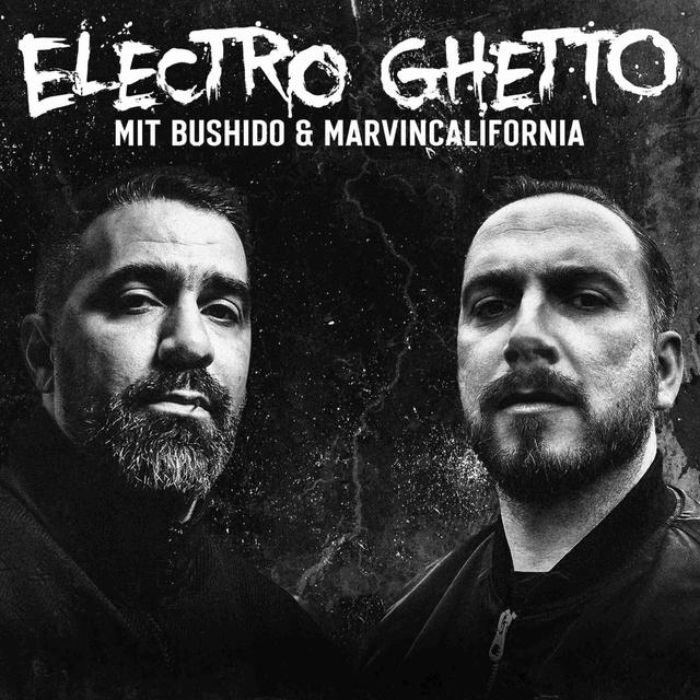 #12 Es geht in die heiße Album- & Tourphase, FLER wünscht BUSHIDO den Tod & ANIMUS Krebs, PA Beef wird eklig u.v.m. - podcast episode cover