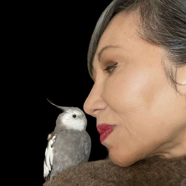 Finding Joy in Your Back Yard with Amy Tan - podcast episode cover