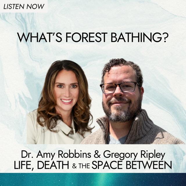 The Life-Changing Practice of Forest Healing - podcast episode cover