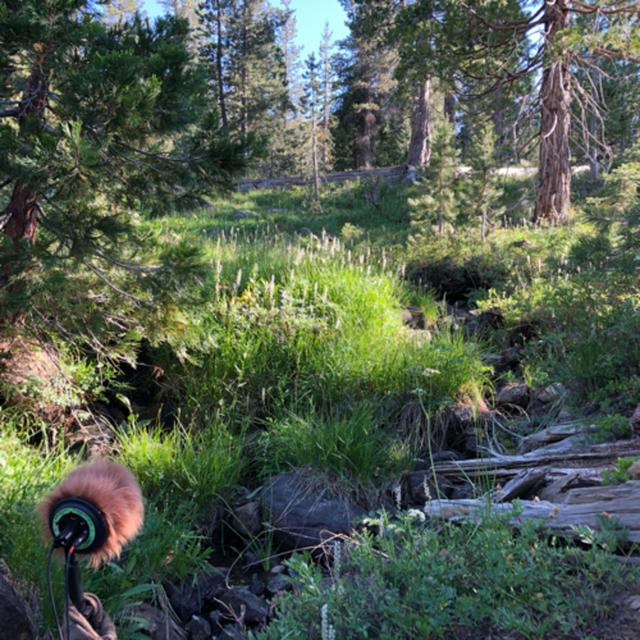 Episode 79: Mountain Stream On A Summer Afternoon - podcast episode cover