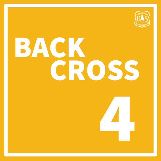 Backcross: A Return to Elm Street - podcast episode cover
