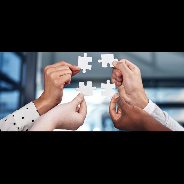 Leading Diversity: How Firms Can Walk the Talk - podcast episode cover