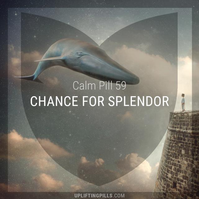 Chance for Splendor - podcast episode cover