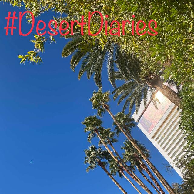 Diaries from a different desert - podcast episode cover