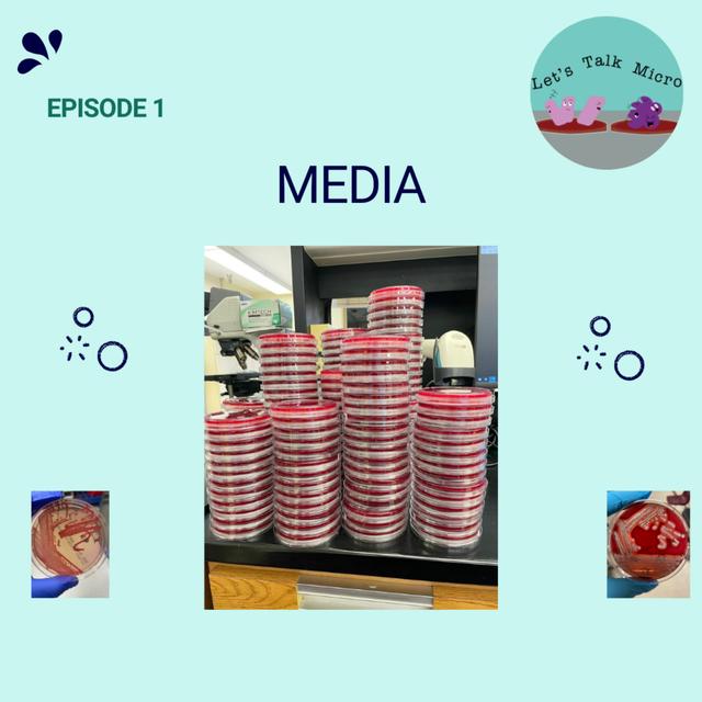 TBT: Media - podcast episode cover