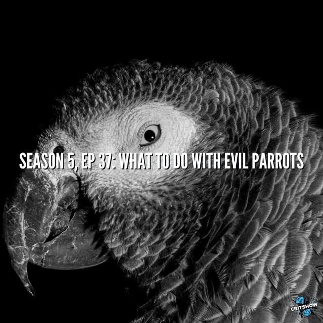 What To Do With Evil Parrots (S5, E37) - podcast episode cover