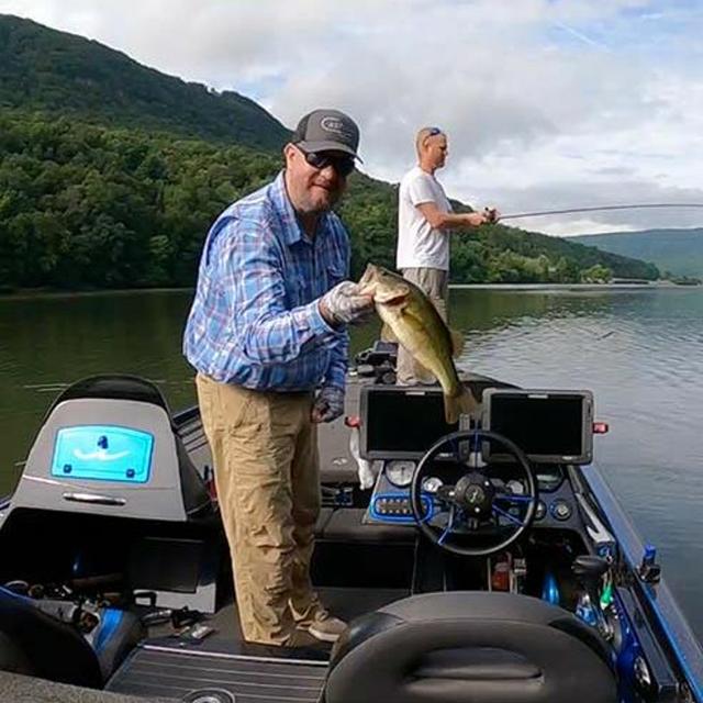 TW 256 - Punching For Bass - podcast episode cover