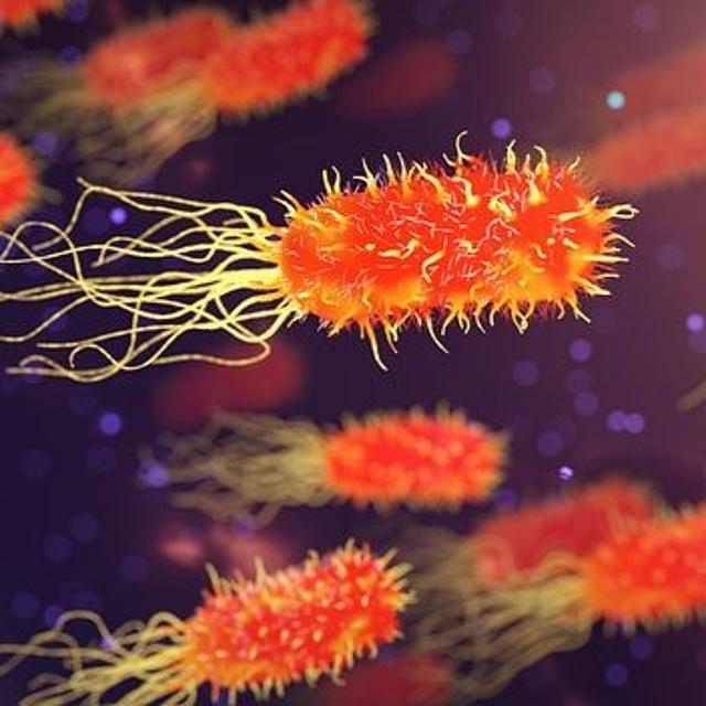 A Disease Without A Cure - The Jay Shapiro Show - podcast episode cover