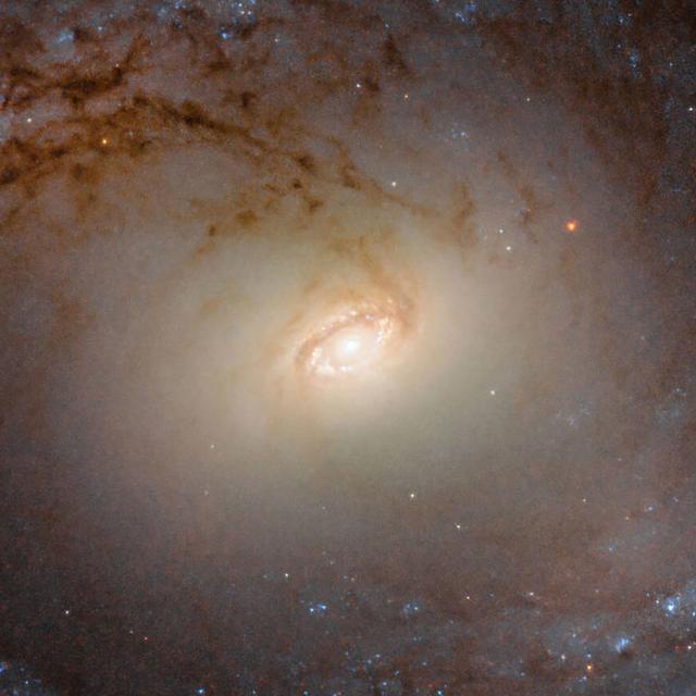 Cosmic Queries – Theoretical Physics - podcast episode cover