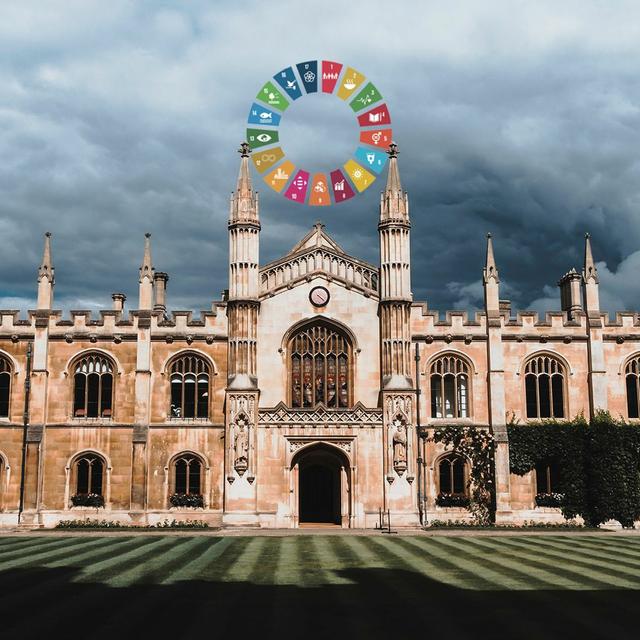 The Strange Death of the University, Part 1: The Red Thread - podcast episode cover