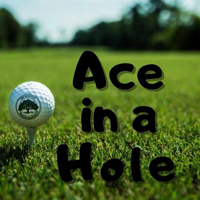 Ace in a Hole - podcast episode cover