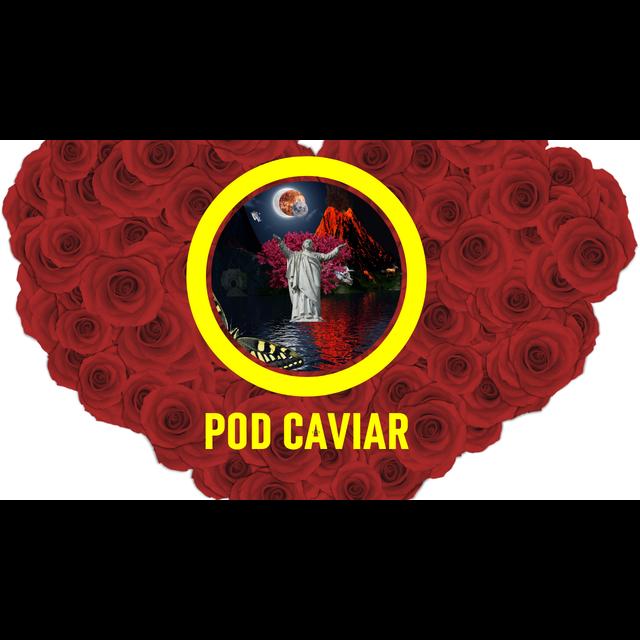 The 2020 Election Special - podcast episode cover