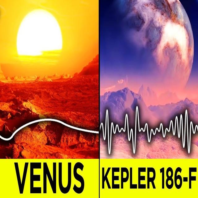 What Life Would Look and Sound Like on Other Planets - podcast episode cover