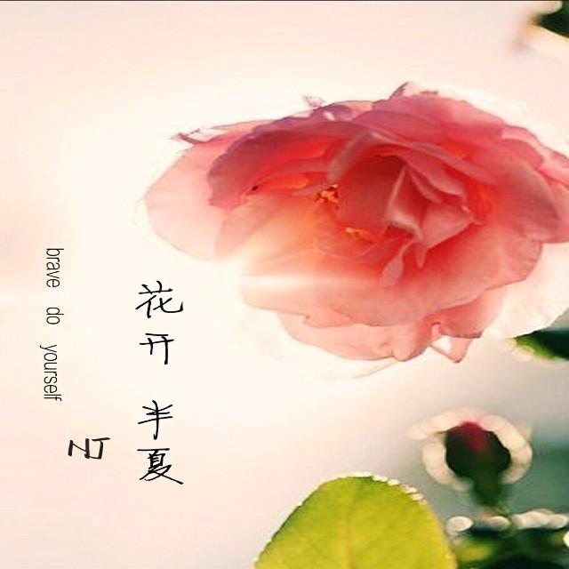 【花开半夏】无兄弟不游戏——NJ半夏 - podcast episode cover