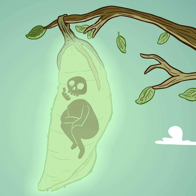 3. PUPATION - podcast episode cover