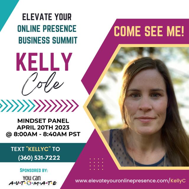 Bitch and Brainstorm Podcast Special Edition: Elevate your Online Presence Business Summit - Panelist Kelly Cole - podcast episode cover