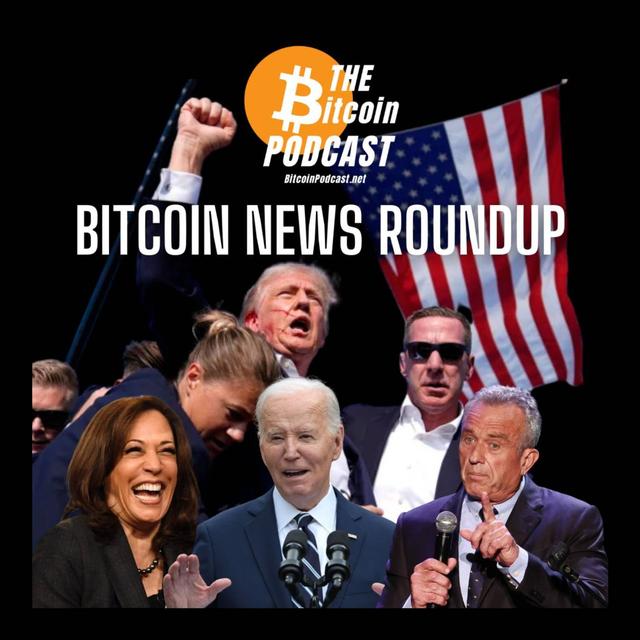 BITCOIN ON THE BALLOT (BITCOIN NEWS ROUNDUP) - podcast episode cover