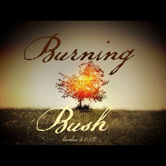 2-19-17 Encountering the fire of God - podcast episode cover