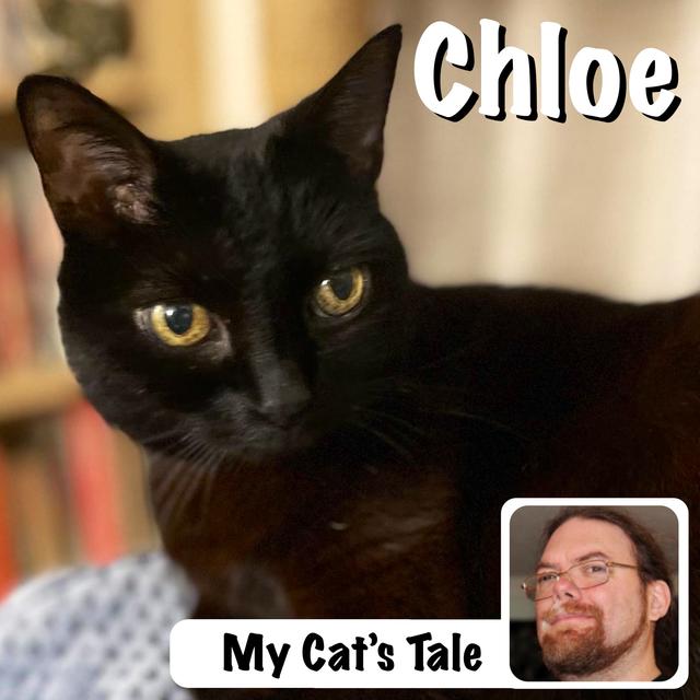 My Cat’s Tale – Chloe The Service Cat - podcast episode cover