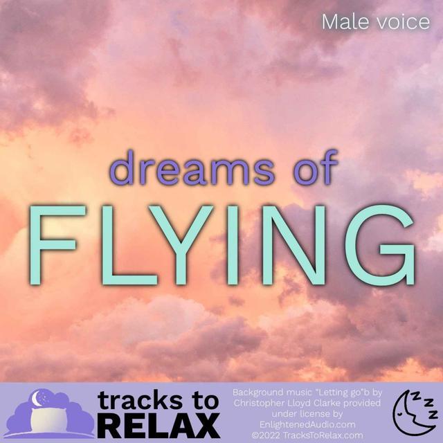 Flying Dreams - A Relaxing Guided Sleep Meditation - podcast episode cover