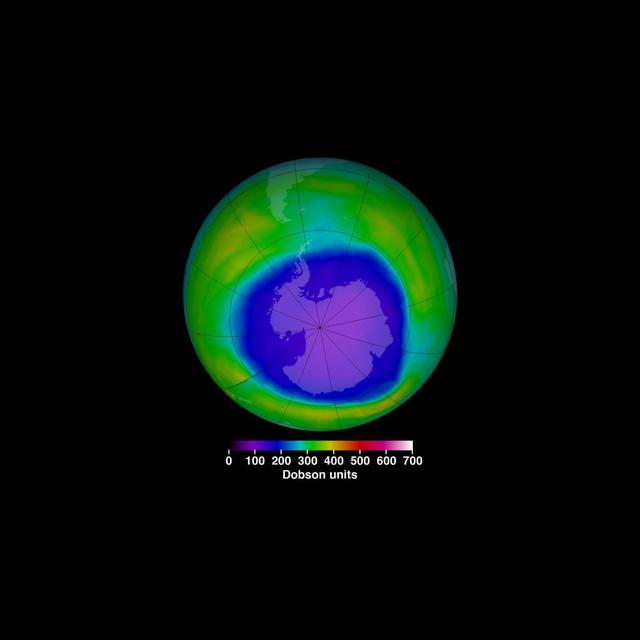 Science News Briefs from Around the World - podcast episode cover