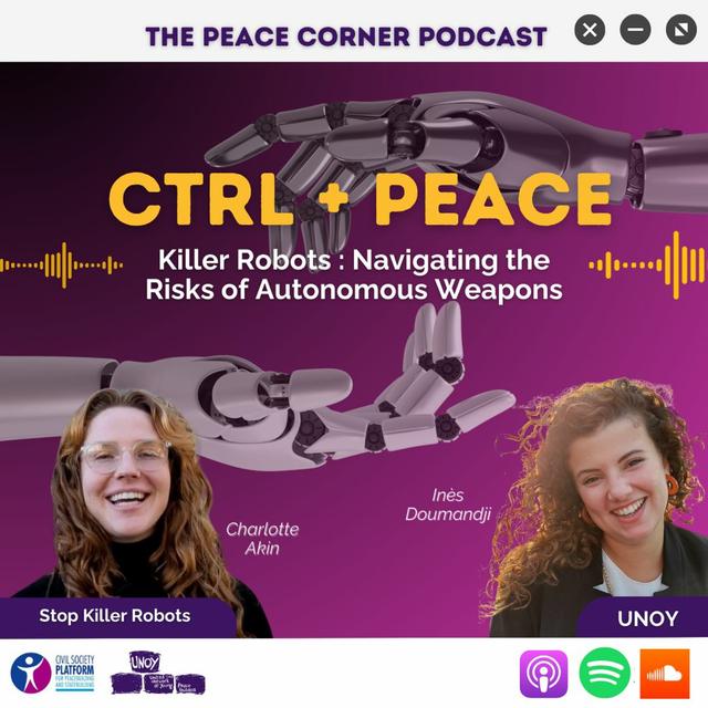 'Killer Robots' : Navigating the Risks of Autonomous Weapons (S08 E03) - podcast episode cover