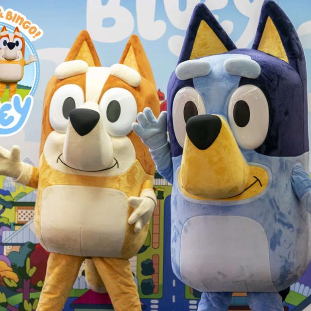 Bluey is coming to Ipswich Show, new rides and bigger fireworks, city's population now 254,000 - podcast episode cover