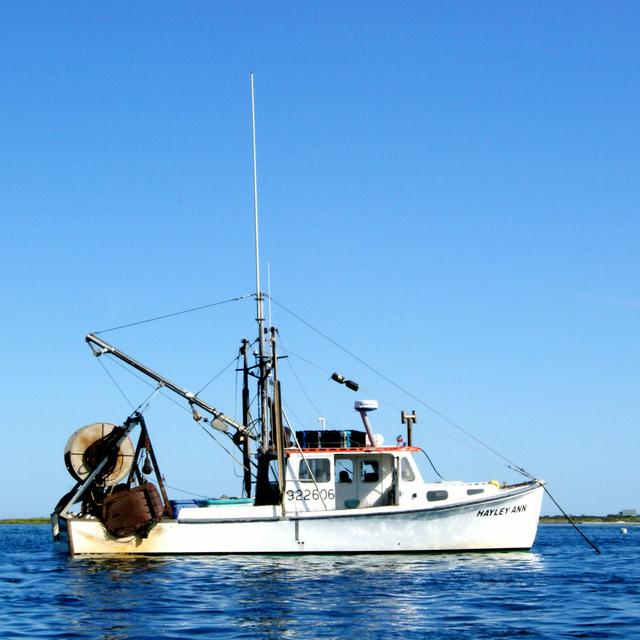 Episode 5: Marine Spatial Planning with Nick Battista - podcast episode cover