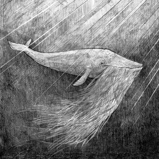 The Whale | Episode 1 - podcast episode cover