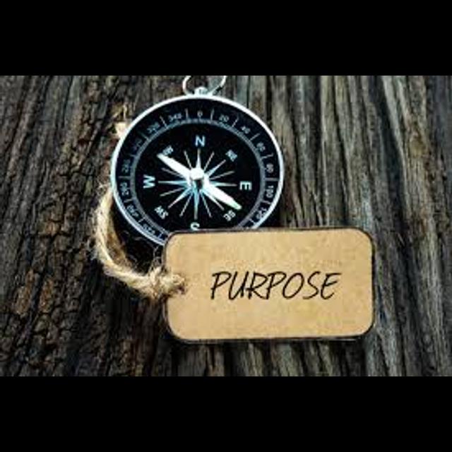 042 - Purpose: Why do you do what you do? - podcast episode cover