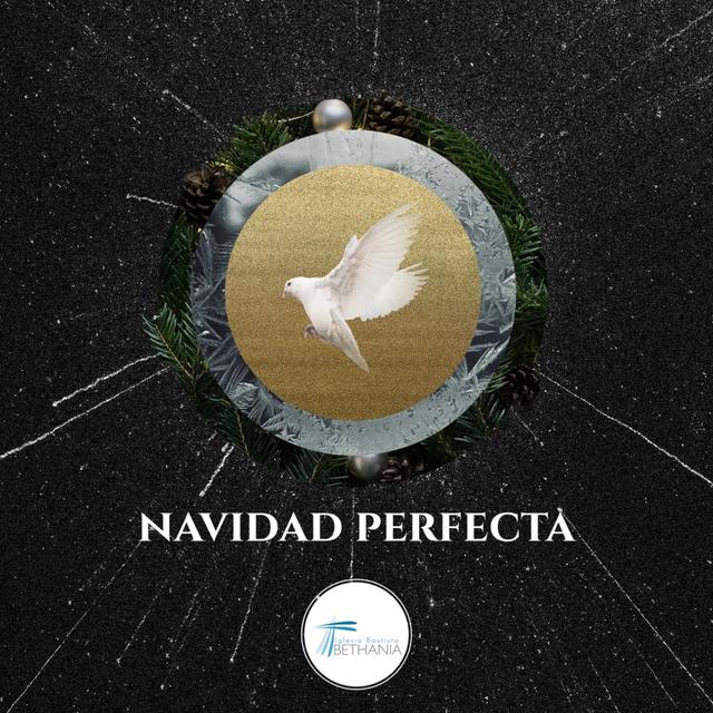 Navidad Perfecta - Dic 20, 2020 - podcast episode cover