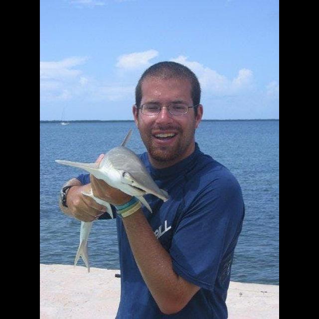 Episode 236: Dr. David Shiffman on Shark Conservation - podcast episode cover