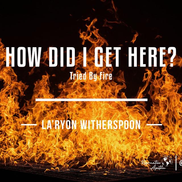 How Did I Get Here? - podcast episode cover