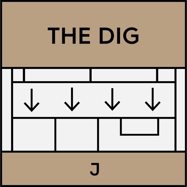 Dig: How to Build a Fighting Labor Movement w/ Jane McAlevey - podcast episode cover