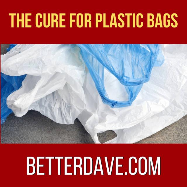 The Cure For Plastic Bags - podcast episode cover