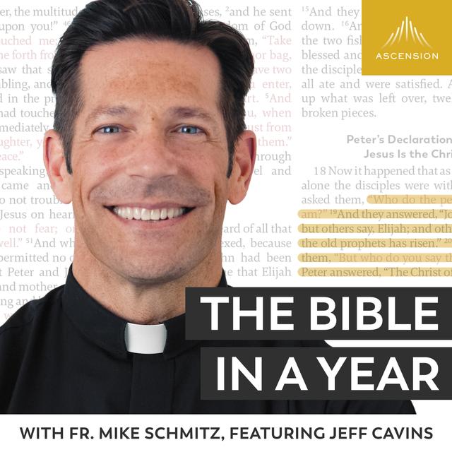Day 163: Faith Over Success (2025) - podcast episode cover