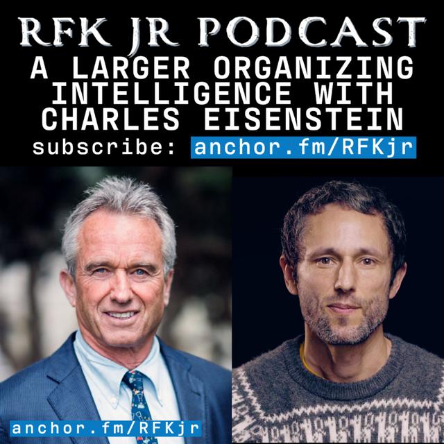 A Larger Organizing Intelligence with Charles Eisenstein - podcast episode cover