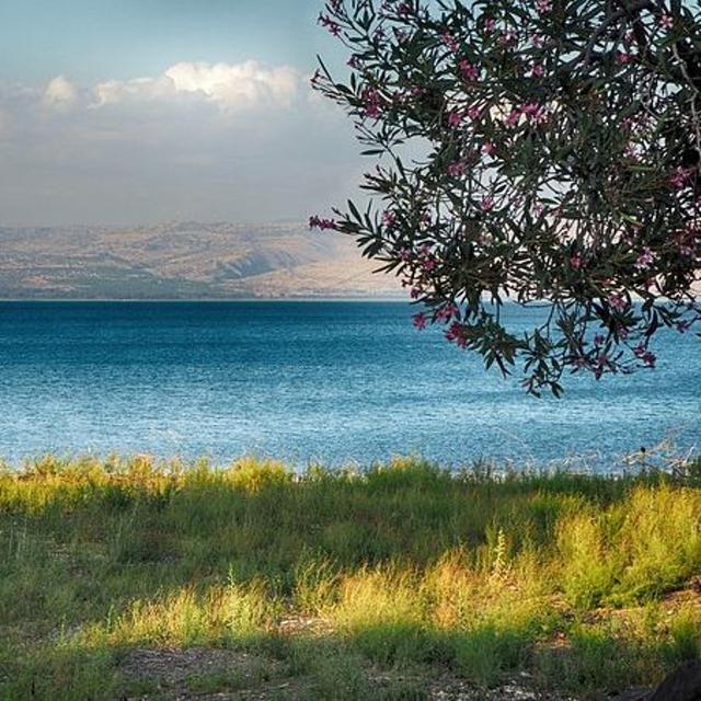 Life In Israel Today - Returning Home - podcast episode cover
