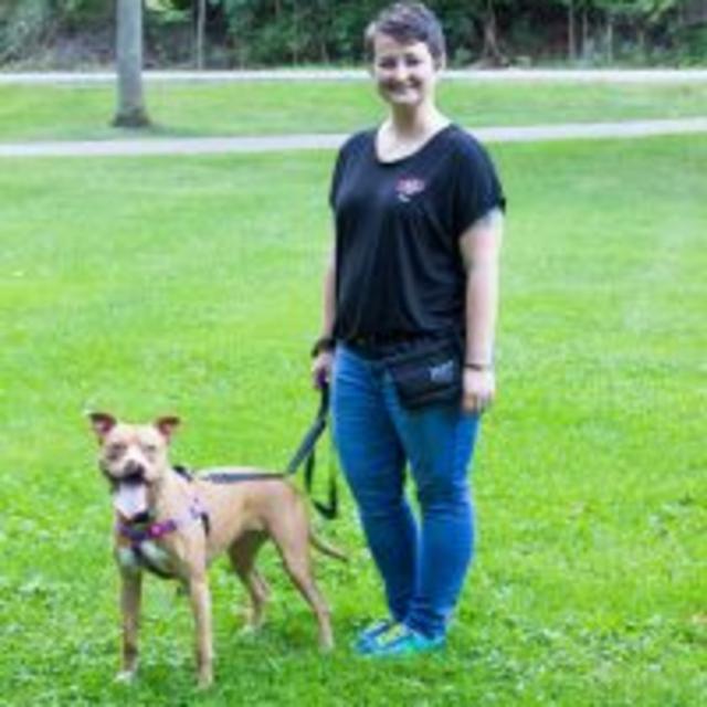 Chat and Chuckle with Valarie Ross from Sits 'n Wiggles Positive Reinforcement Dog Training - podcast episode cover