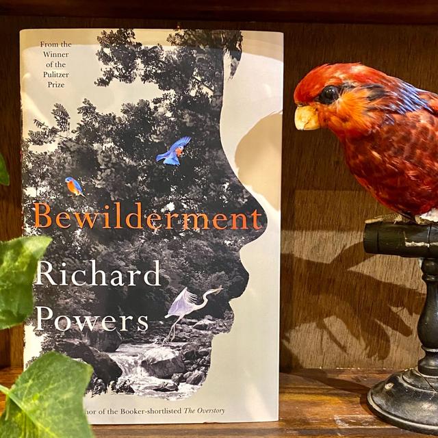 Richard Powers on Bewilderment - podcast episode cover
