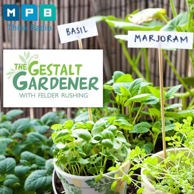 The Gestalt Gardener | Planting for Summer - podcast episode cover
