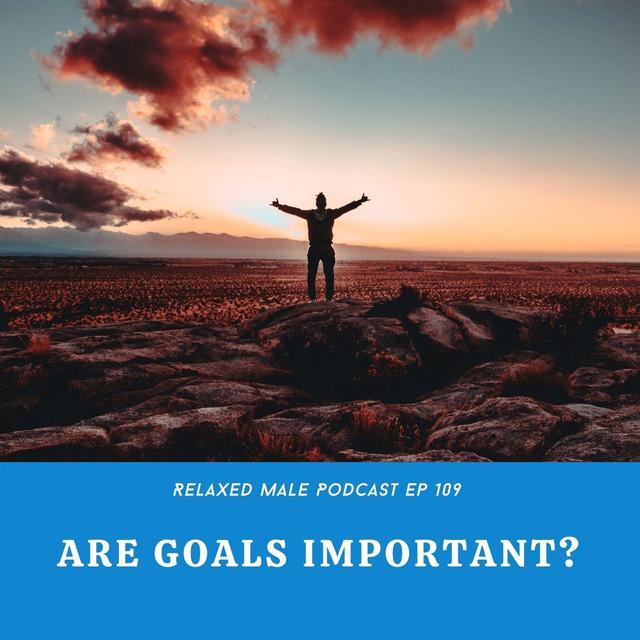 Are Goals Important? - podcast episode cover