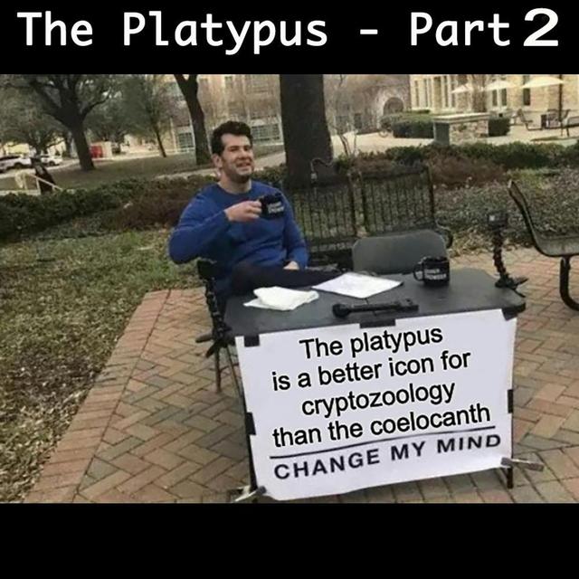 272 - The Peculiar Platypus Part 2 - podcast episode cover