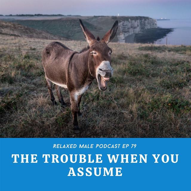 The Trouble When You AssUMe - podcast episode cover