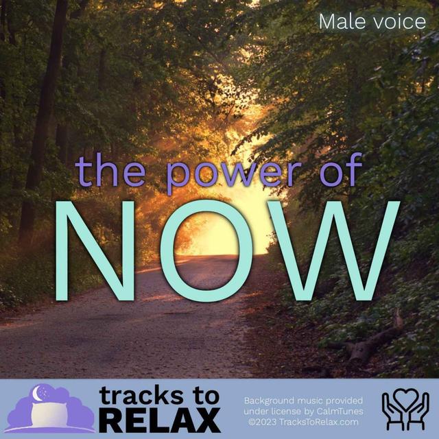 The Power Of Now - Sleep Meditation (1hr) - podcast episode cover