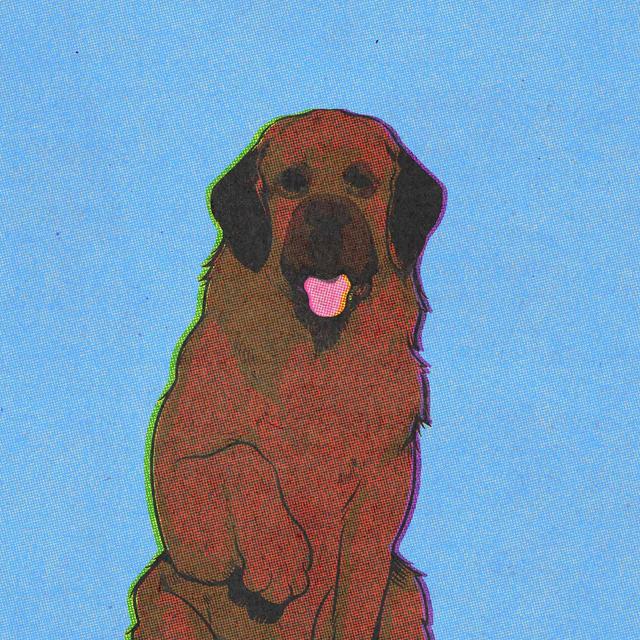 Empty Nest Uses the F-Slur - podcast episode cover